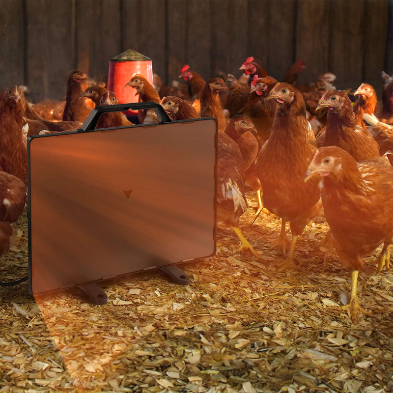 160W Thermostatic Heating Panel for Chicken Coop, 0-99°C Radiant Heater for Poultry Winter Farm